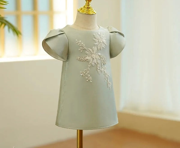 Vivianna embroidered dress