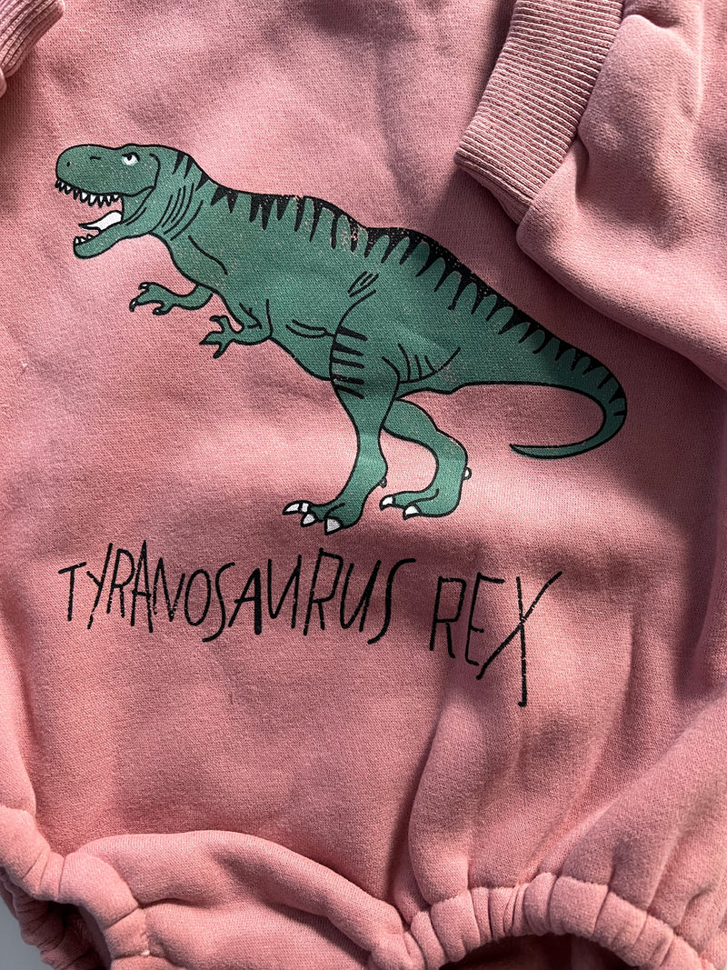 Dinosaurs romper